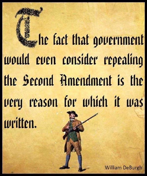 Our Constitution is under assault every day, and when it isn't under assault, it is being ignored by our government....